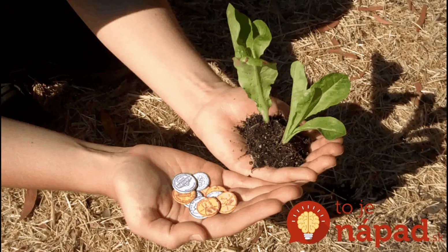 Viete, prečo naše babičky vkladali do pôdy v záhrade mince? Tento zvláštny trik vám skvele poslúži aj dnes!