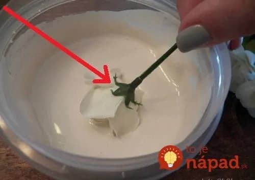 Žena vzala staré, vyblednuté umelé kvety a ponorila ich do tejto lacnej zmesi: Výsledok je úžasný!