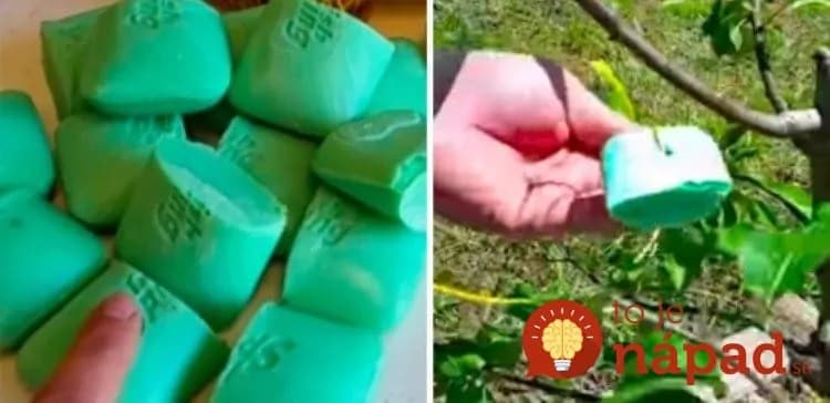 Sestra mi z ciest priniesla toto obyčajné mydlo: Nikdy by som neverila, akým neoceniteľným pomocníkom mi bude v záhrade!