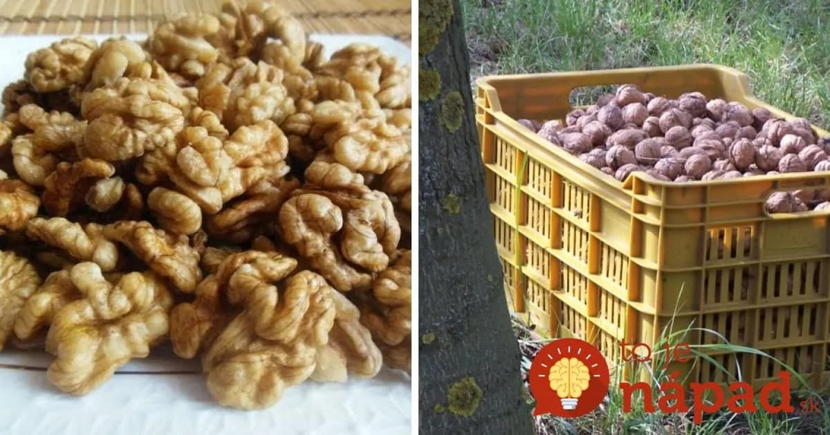 Nezatuchnú, nesplesnivejú: Naučte sa perfektný a úplne jednoduchý spôsob, ako uchovať orechy na celé roky!
