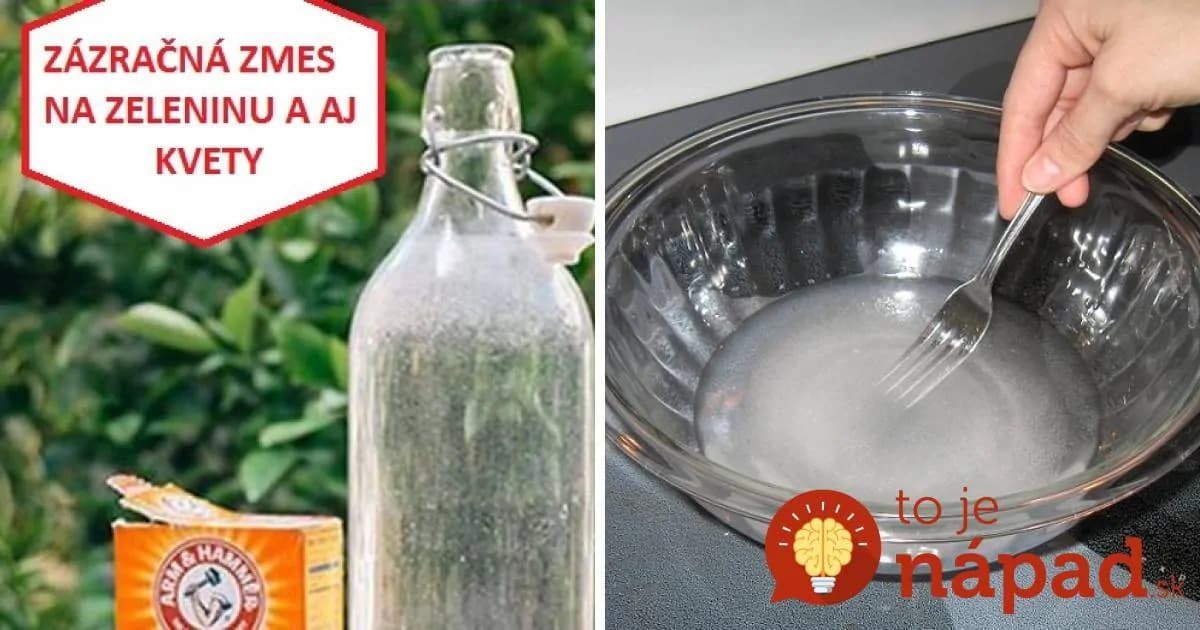 Zázračná zmes pre rast zeleniny a krásne kvety: V našej rodine používame tento recept už viac ako 20 rokov!