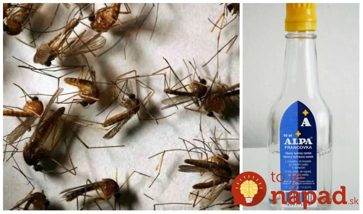 Vždy, keď išla starká na pole, nastriekala si na zápästia trochu tejto zmesi: S komármi a muchami mala celý deň pokoj!