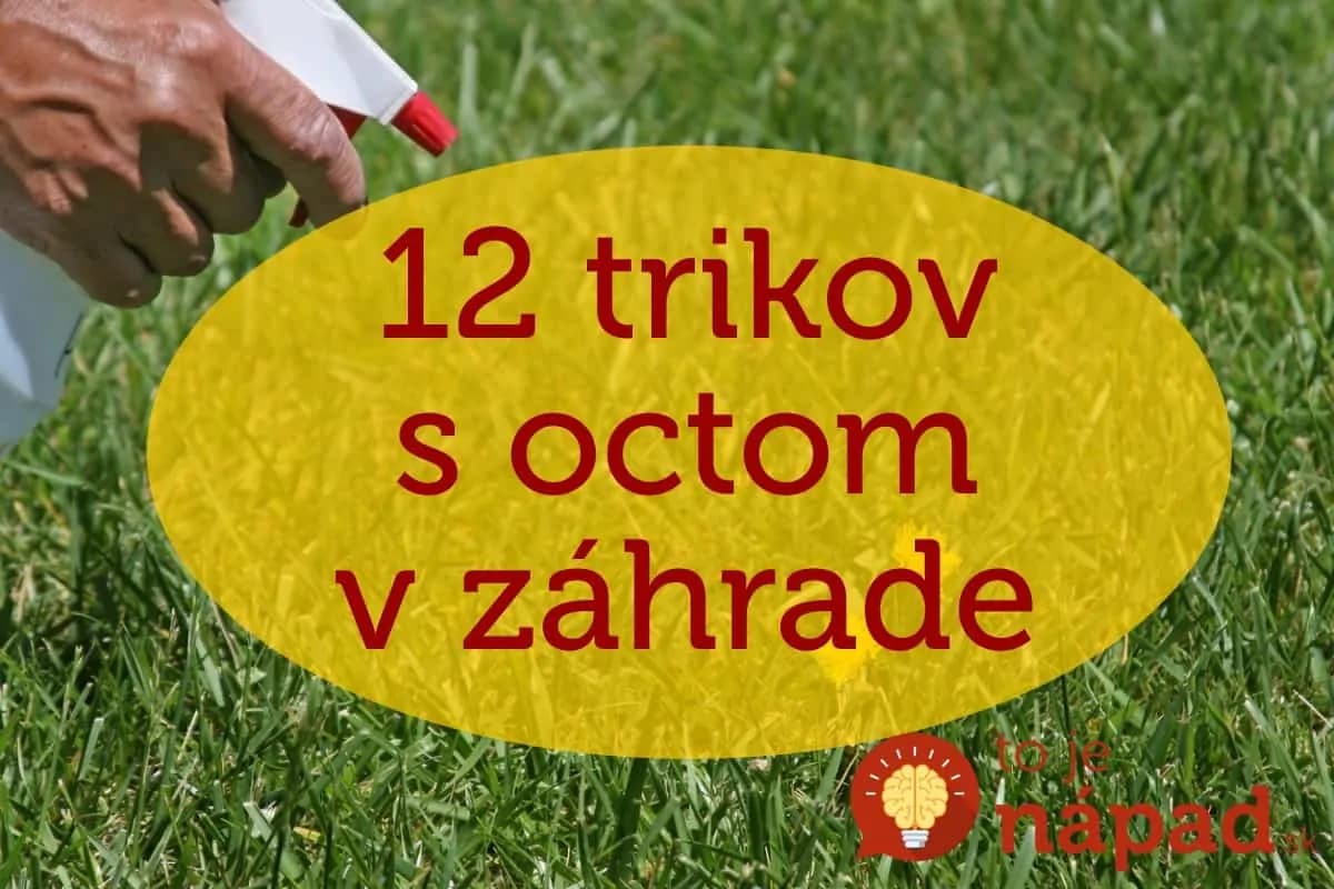 Toto sa hodí každému pestovateľovi: 12 perfektných trikov s octom, ktoré vám v záhrade ušetria kopec peňazí aj námahy!