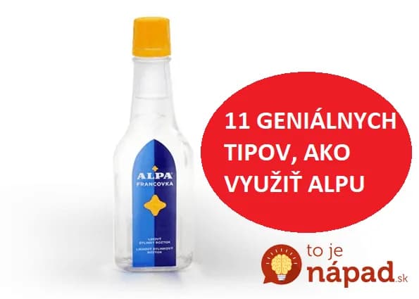 Máme ju doma všetci a mnohí vôbec netušia, čo všetko dokáže: Toto je dôvod, prečo by ste Alpu nemali pustiť z ruky!