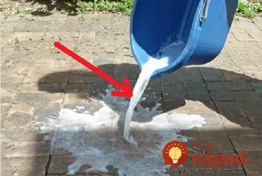Najjednoduchší spôsob ako vyčistiť vonkašiu dlažbu a betón bez drhnutia: 10-ročná príjazdová cesta vyzerá ako nová a po burine ani stopy!