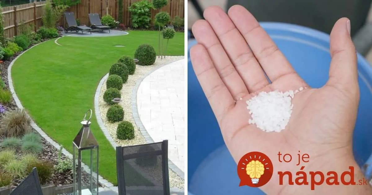 Trik, ako vrátiť trávniku krásne zelenú farbu aj počas extrémneho sucha!