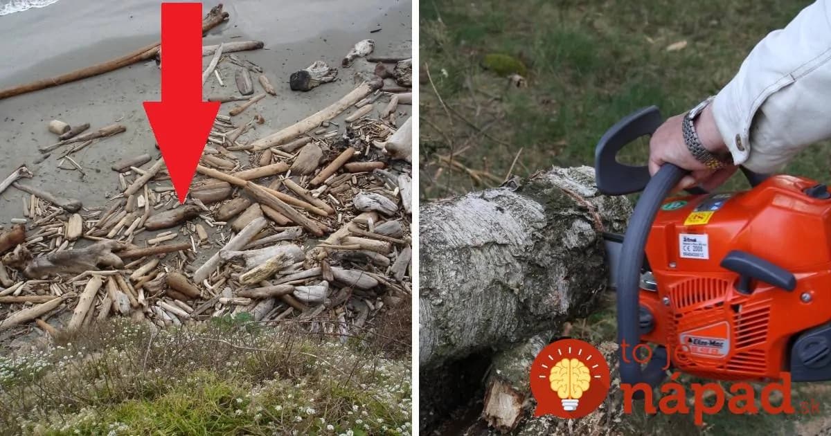 Tento muž priniesol na dvor naplavené drevo z rieky: Je ťažké uveriť, že sa mu z odpadu podarilo vytvoriť niečo takéto!