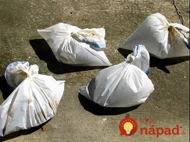 Vrecia na odpadky a ocot: Tieto dve veci má doma hádam každý – napadlo by vám, aké užitočné sú, keď ich spojíte?