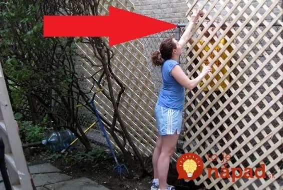 Títo ľudia sa hanbili za škaredý plot na svojej záhrade: Pozrite sa, ako šikovne sa vynašli bez toho, aby museli plot vymeniť!