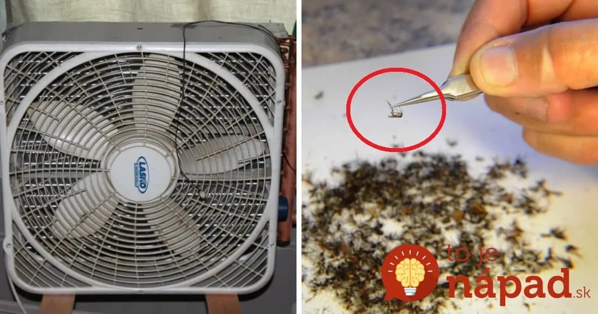 K ventilátoru postavil otvorenú fľašu minerálky: Vymyslel geniálnu pascu na komáre, ktoré dokáže prilákať a zlikvidovať tisícky komárov vo vašom okolí!