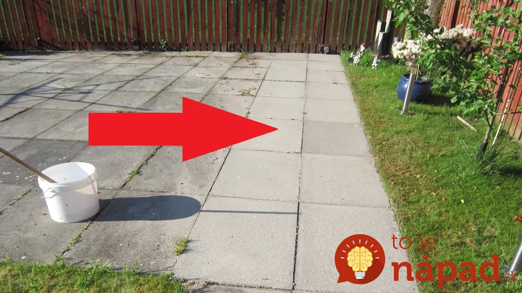 Toto je jediný spôsob, ak sa mi podarilo odstrániť mach a burinu zo záhradnej dlažby: Zafungovalo to okamžite!