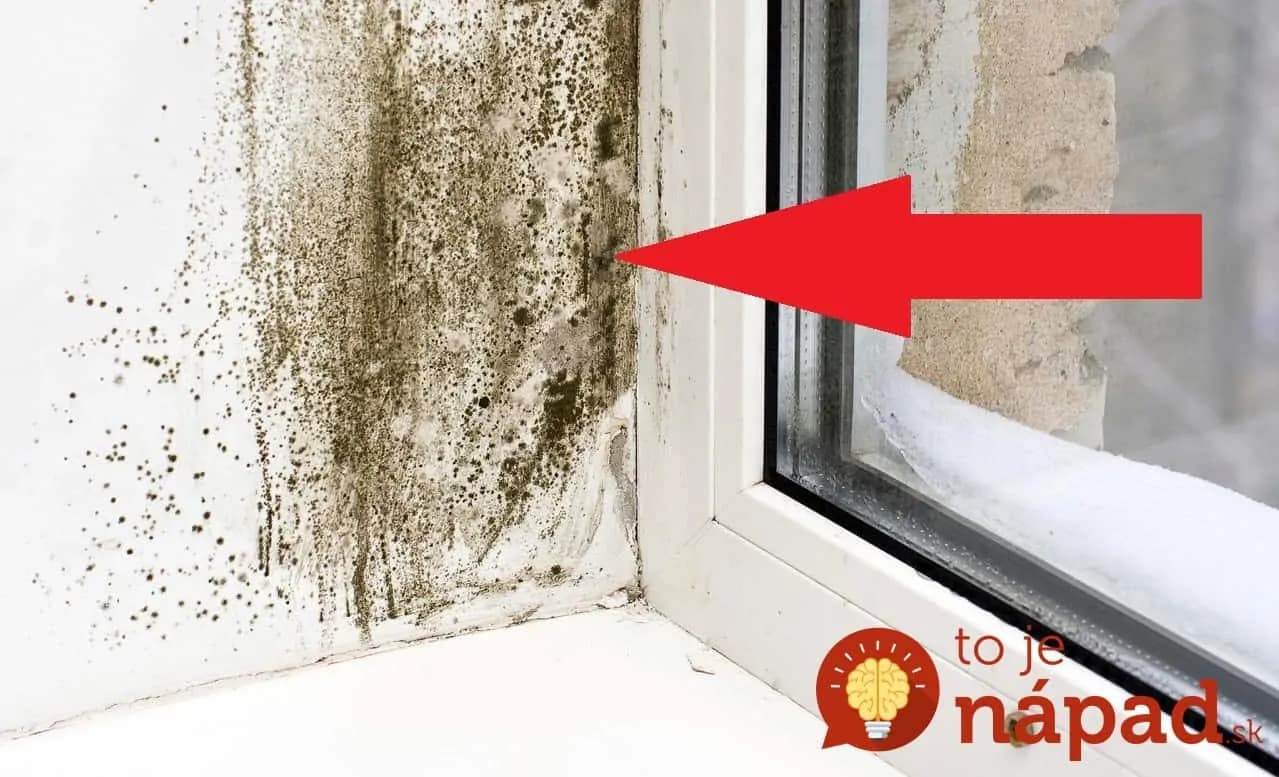 Pre všetkých majiteľov plastových okien: Toto treba robiť, aby sa okolo okien nezačala tvoriť pleseň a neunikalo vám cez ne teplo!