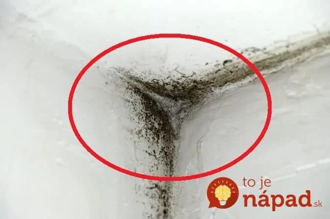 Sused mi vytopil byt a odvtedy sme sa nevedeli zbaviť plesne na stene: Nepomohol ani ocot, ale keď som na pleseň strekla tento zázrak, zmizla úplne bez stopy!