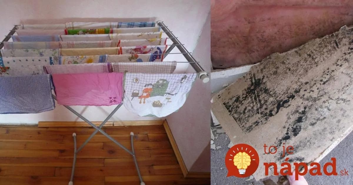 Profík poradil, ako počas zimy zatočiť s vlhkosťou a plesňou: Toto by si mali prečítať hlavne tí, ktorí sušia prádlo v byte!