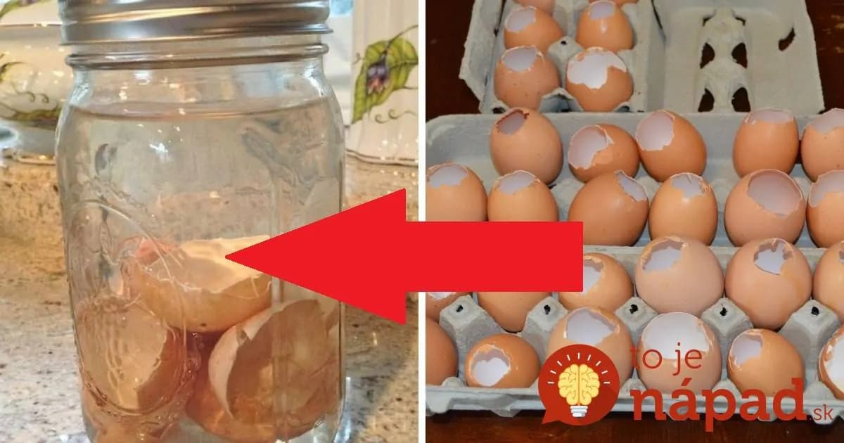 Perfektný nápad s rozdrvenými škrupinkami a papierovým obrúskom: Keď to uvidíte, najbližšie si určite premyslíte, či ich vyhodíte do koša!