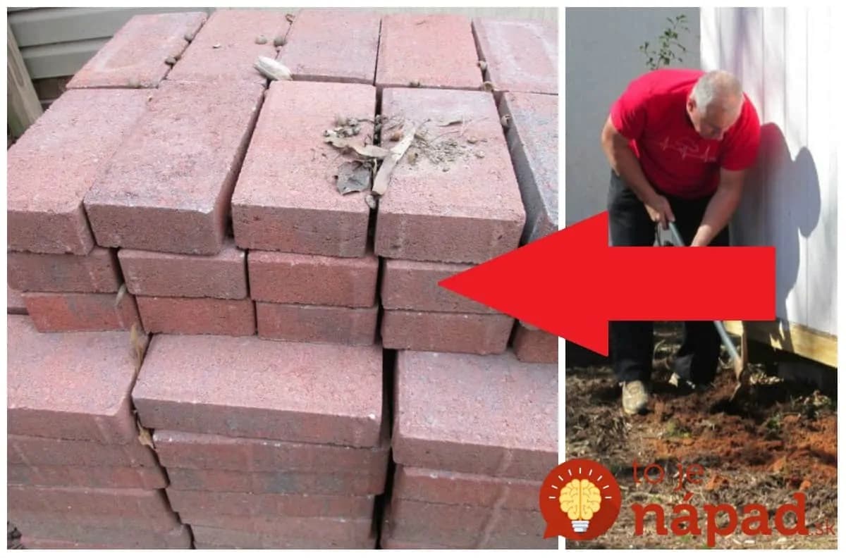 Manželia kúpili 200 kusov lacnej záhradnej dlažby: Nepoužili ju však na budovania chodníka, takto perfektne si s ňou vylepšili záhradu!