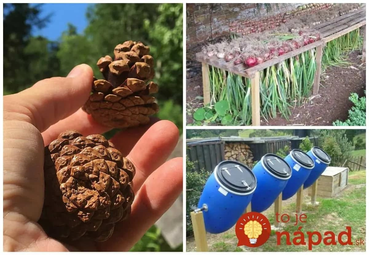 Kto pozná tieto triky, tento poriadne ušetrí na zavlažovaní aj postrekoch: Geniálne vychytávky, ktoré nestoja nič!
