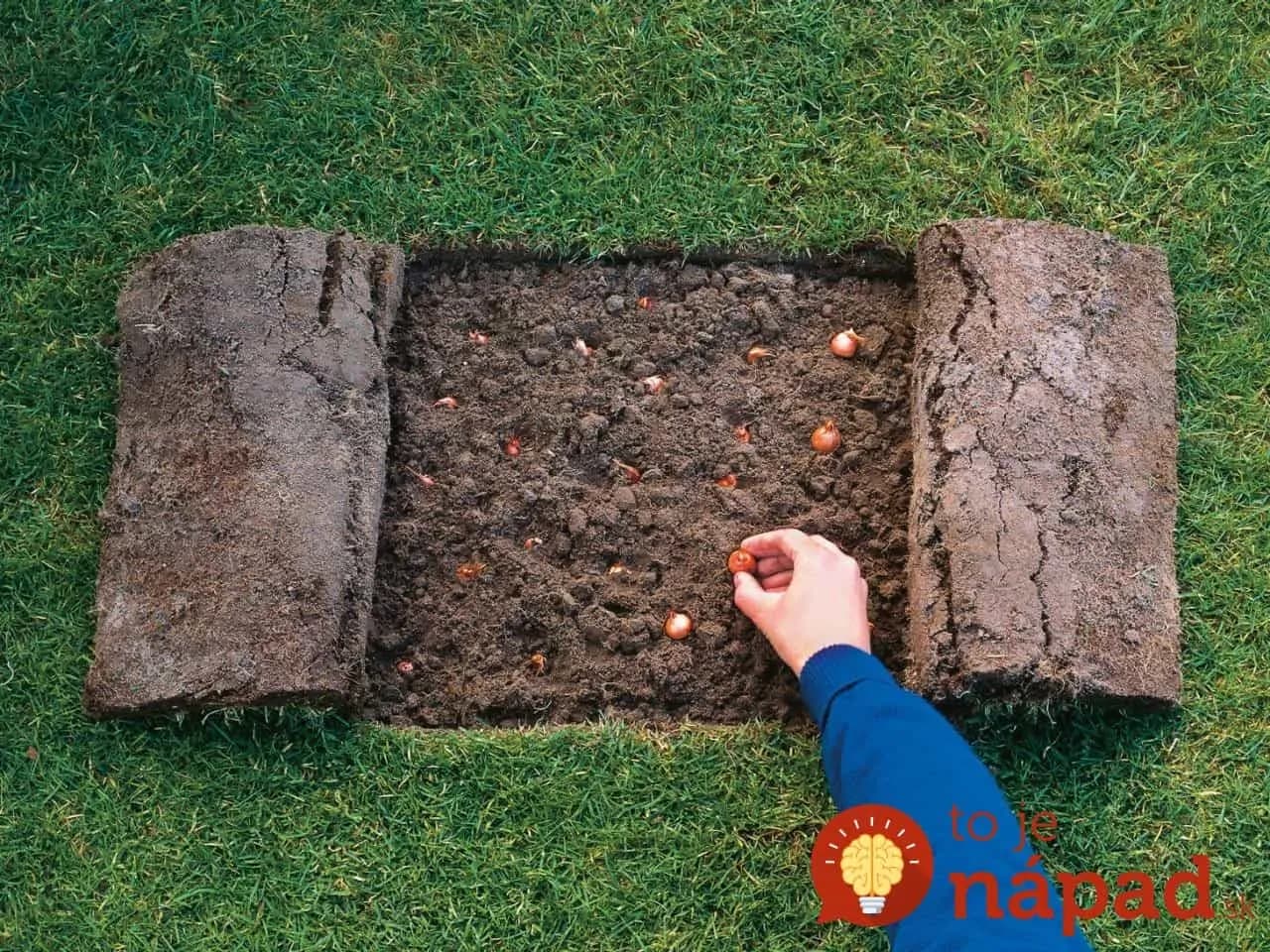 Neriešim drahé hnojivá z obchodu a trávnik mám ako z katalógu: Po zime ho len nakŕmte týmto a sledujte, ako je zo deň krajší!