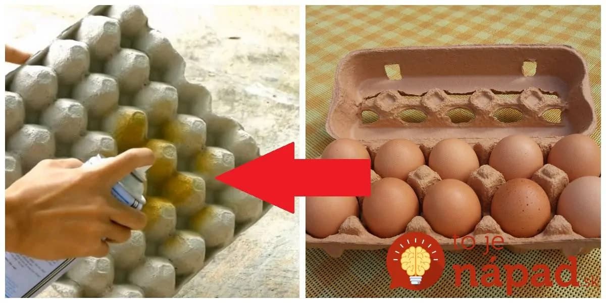 Vzala obyčajný kartón od vajec a každú stranu nastriekala inou farbou: Toto môžete mať na stole doslova za pár centov!