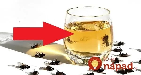 Dajte si to izby a do hodiny máte pokoj od komárov aj múch: Škoda, že na túto starú fintu sa dnes už skoro zabudlo!