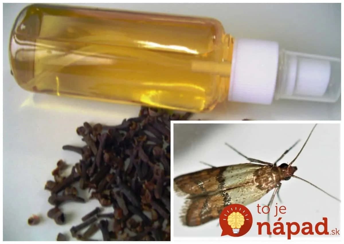 Stačí to nastriekať do skriniek a mole sa k nim viac nepriblížia: Z linky sa pratali sa ako namydlený blesk, viac som ich doma nevidela!