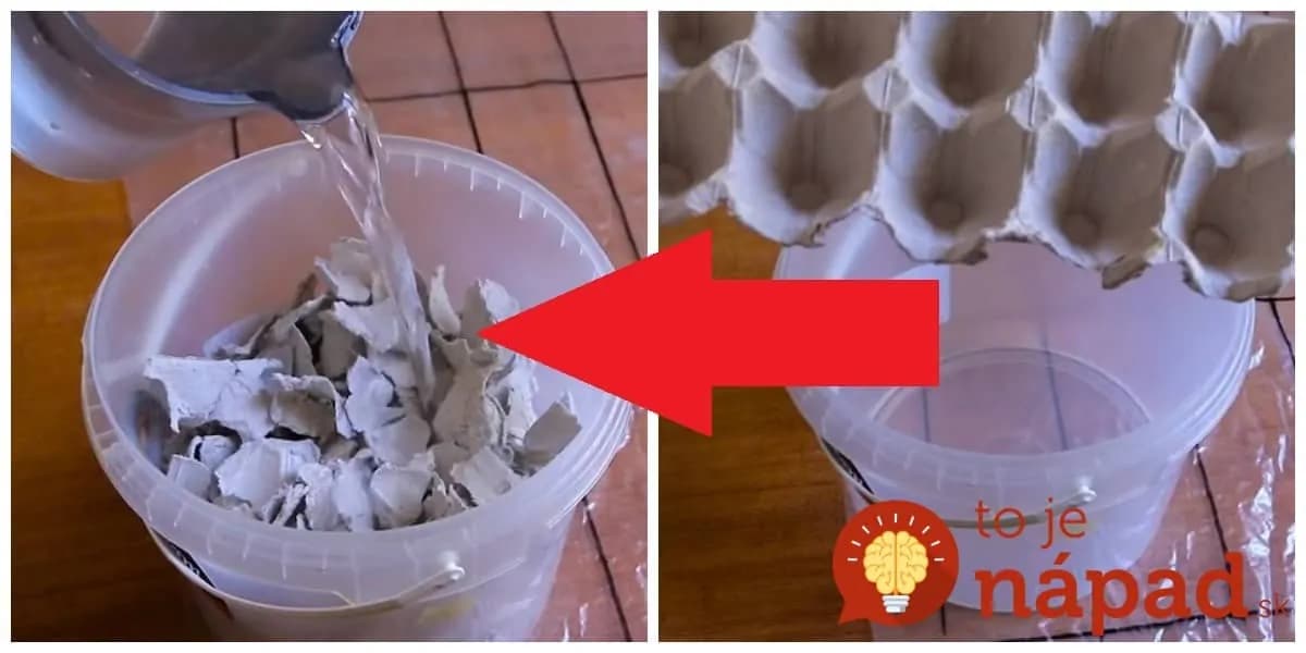 Táto mamička kartóny od vajec nevyhadzuje, ale každý natrhá a zaleje vodou: Neuveríte, čo z toho vznikne o pár hodín!