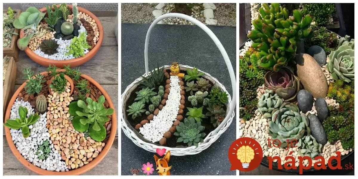 Prekrásna mini skalka v kvetináči: Pár kamienkov, obľúbené skalničky a kvetináč – 17 inšpirácií do bytu aj do záhrady!
