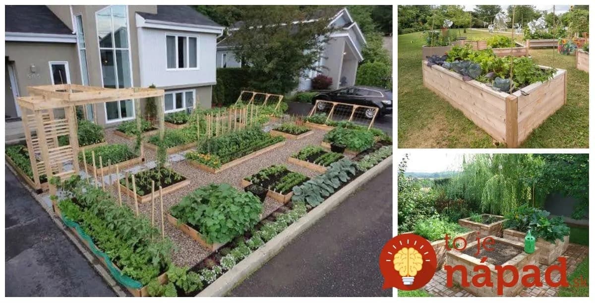 Perfektné nápady, ako pestovať zeleninu – vyvýšené záhony: Všetko rastie ako z vody a keď príde na zber, netreba sa ohýbať!