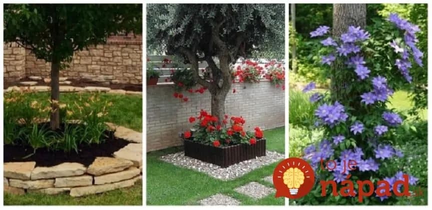 Vysaďte kvety okolo stromu, vyzerá to úžasne: 21 prekrásnych inšpirácií, ktoré celkom zmenia váš dvor!