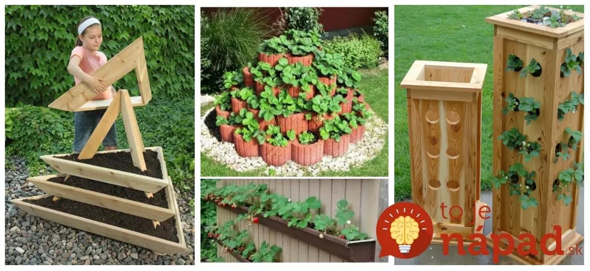 17+ perfektných nápadov, ako pestovať jahody: Dvor NIKDY nevyzeral lepšie a keď príde na zber, netreba sa ohýbať!