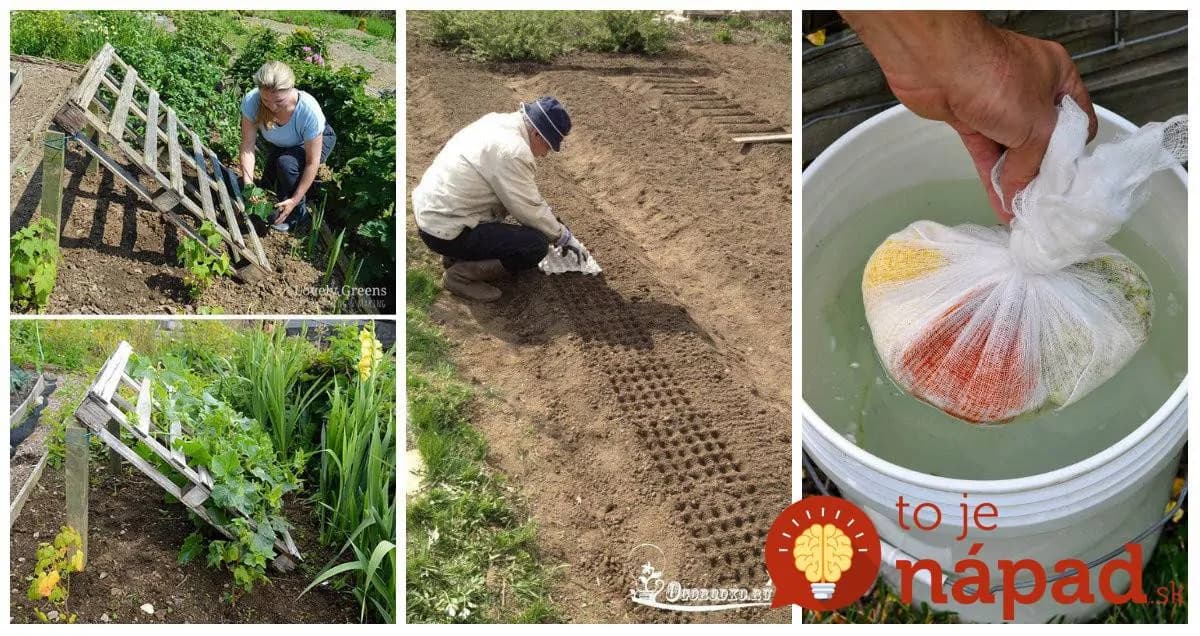 O tomto vám v obchode nepovedia: Perfektné triky do záhrady, ktoré vám ušetria kopec peňazí a námahy!