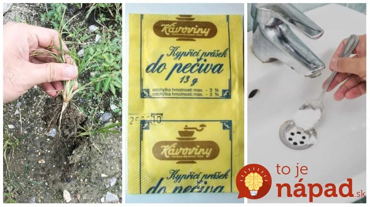 O tomto sa receptoch a kuchárke nedočítate: 19 trikov s práškom do pečiva, ktoré ušetria kopec peňazí aj námahy!