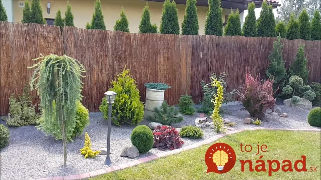 Máte na záhrade kamienky? Vysaďte do nich kvety alebo zeleň, vyzerá to úžasne – 21 inšpirácií!