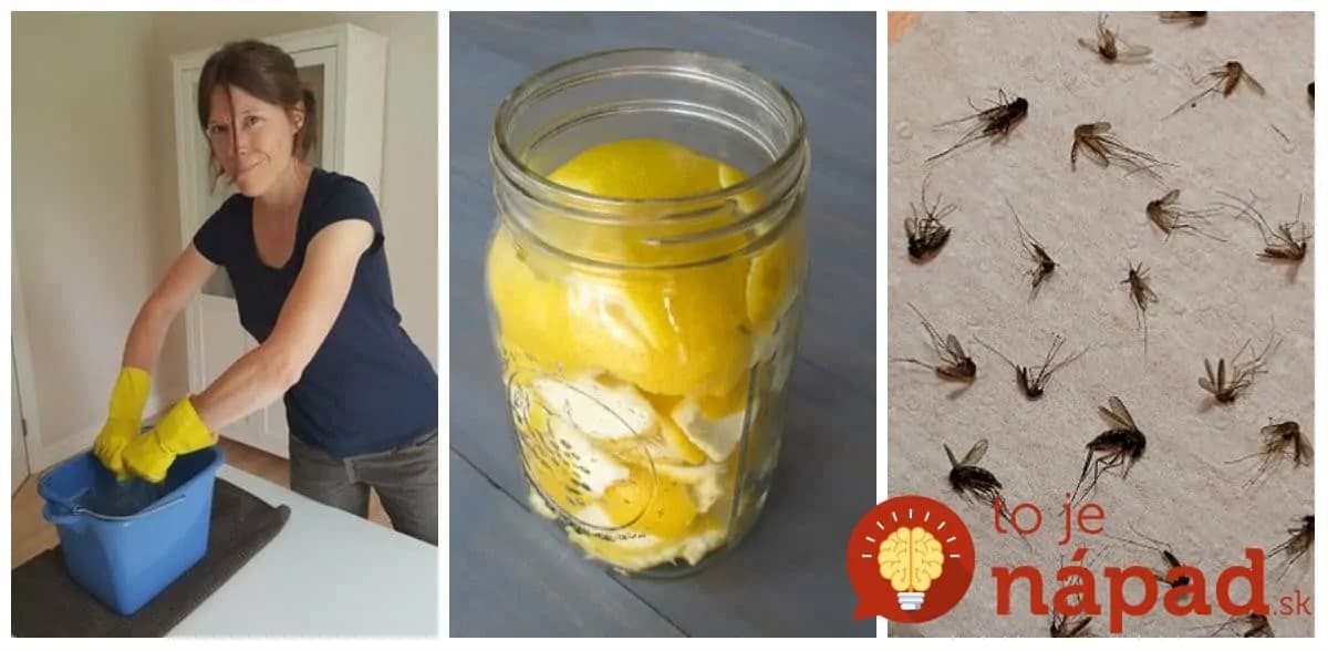 Dokáže veci, o akých sa nám ani nesnívalo: Títo ľudia používajú citrónovú kôru v dome aj vonku – skúste to tiež