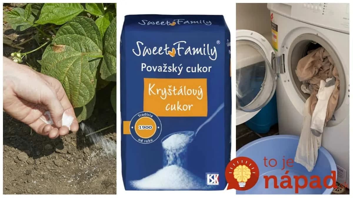 Títo ľudia používajú obyčajný cukor spôsobom, o akom sa nám ani nesnívalo: 11 trikov, ktoré ušetria kopec peňazí aj námahy!