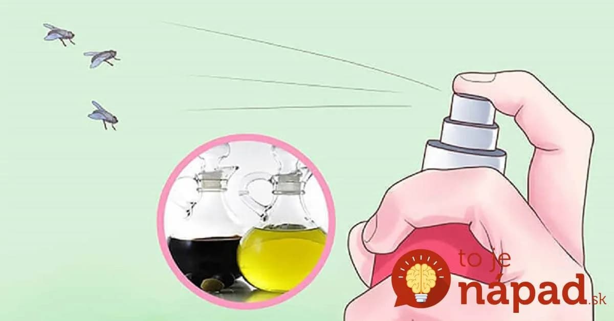 Myslela som, že to zlikviduje len mravce, ale zmizli aj muchy, pavúky a mole: Toto majte celý rok poruke!