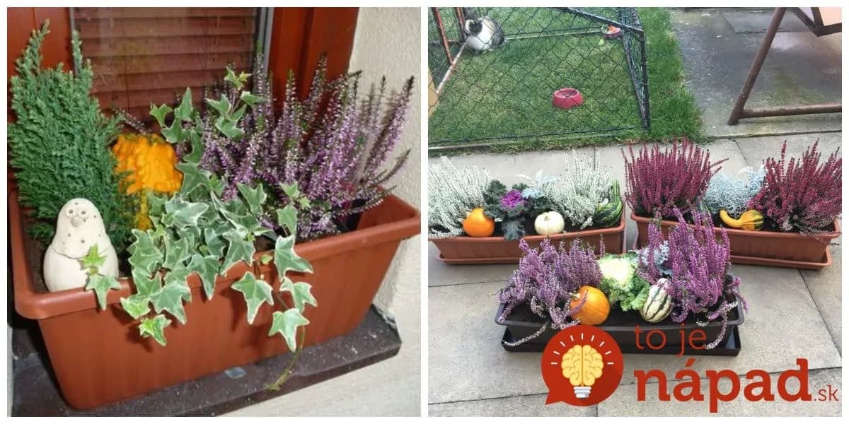 17 úžasných nápadov, ako na jeseň naplniť kvetináče: Vysaďte obľúbené rastlinky takto a a máte najkrajšiu výzdobu do okien aj pred dvere!