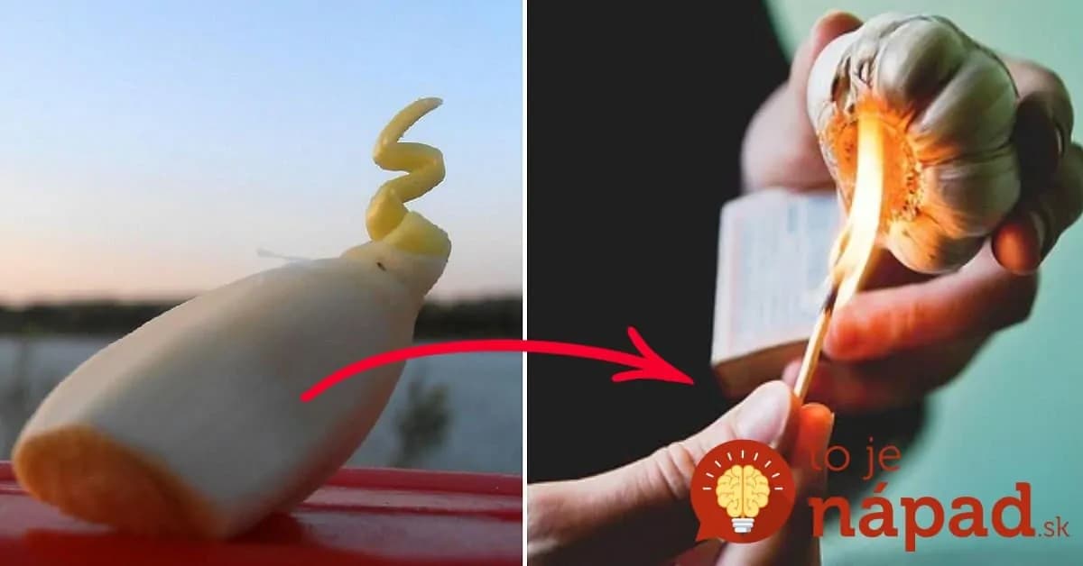 Najlepšia rada pestovateľa, ako udržať cesnak čerstvý na celý rok: 5 minút a ostane šťavnatý a voňavý do ďalšej úrody!