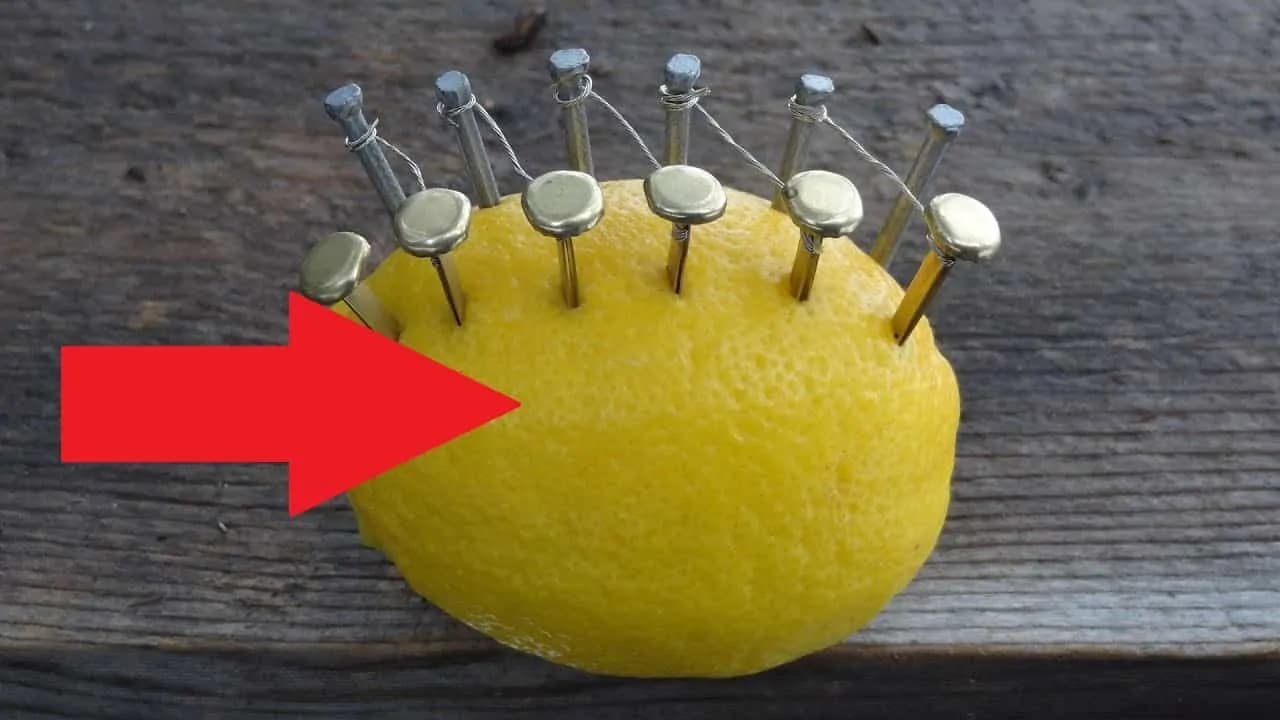 Citrón nedávajte len do čaju, toto je fantastické: Toto dokáže, ak doň zapichnete obyčajné klinčeky – funguje to!