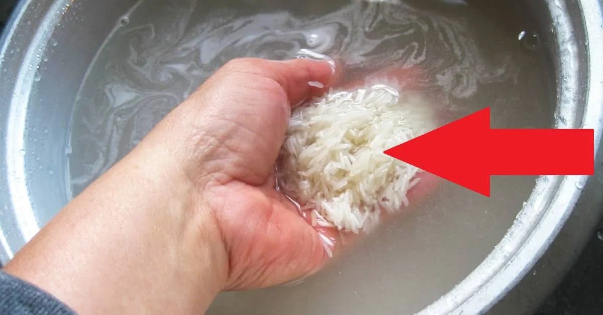 Ryžu varím skoro každý deň, ale toto by mi nenapadlo ani vo sne: Nikdy nevylievajte túto vodu – dokáže úžasné veci a to celkom zdarma!