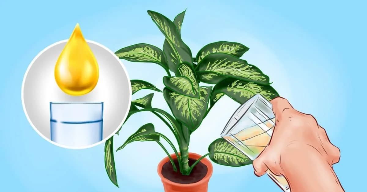 Bič na nenávidené mušky v kvetináči: Nepoužívajte chémiu, finta ostrieľaných záhradkov ich zlikviduje za pár dní!