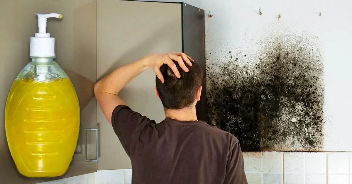 Bič na pleseň máte rovno pod nosom: Toto ju zaručene zničí aj bez toho, aby ste kupovali drahé prostriedky!