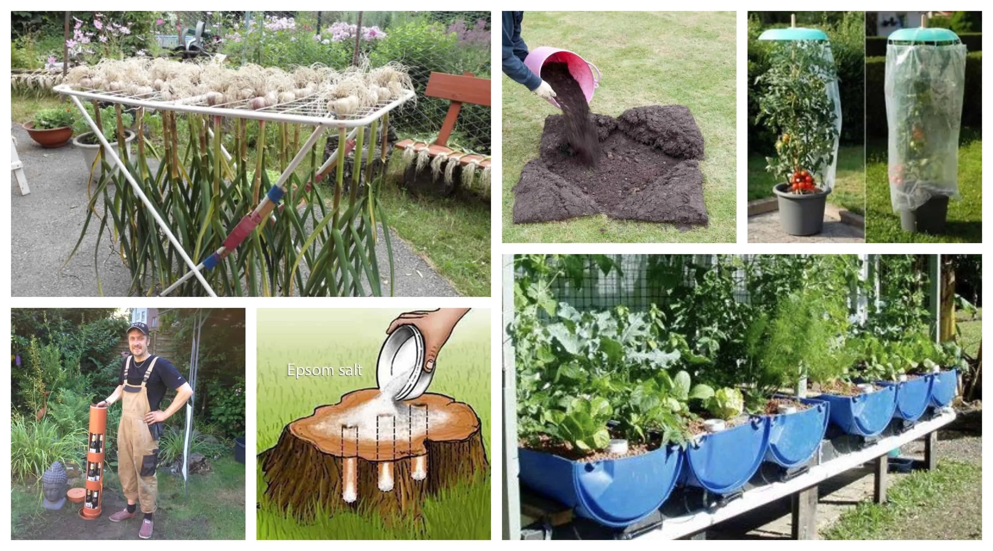 Burinu neriešia celú sezónu a trávnik majú ako z katalógu: 21 záhradkárskych trikov, ktoré šetria čas, peniaze a uľahčia prácu v záhrade!