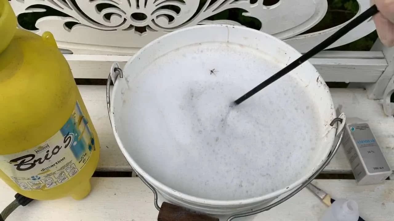 Absolútny likvidátor mravcov doma aj v záhrade: Domáci zázrak za pár drobných odplašil mravce do jedného – 1 dávka vyšla na celý dvor!