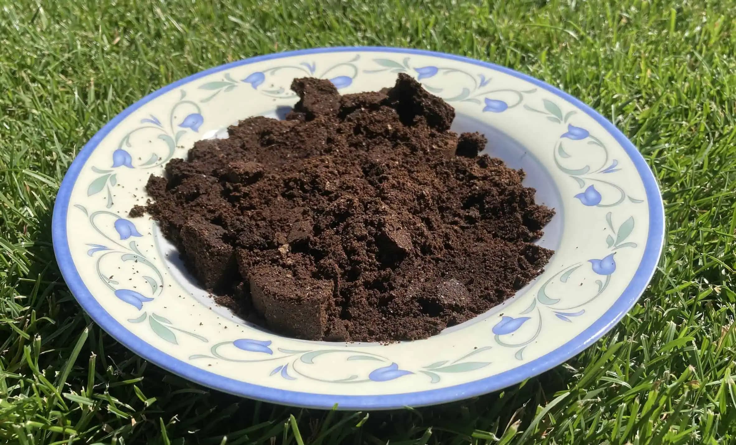 Už mi ani nenapande vyhadzovať odpad z kávy: TRIK mojej mamy využije počas sezóny každý deň – kto neskúsi, neuverí!