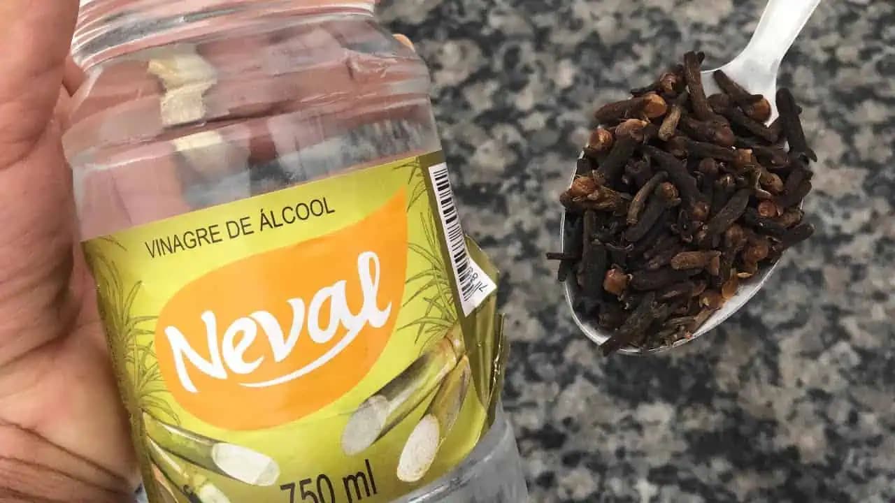 Zmiešajte obyčajné klinčeky s ocotom a hneď použite: Tento účinok vyvážite zlatom v každej rodine!