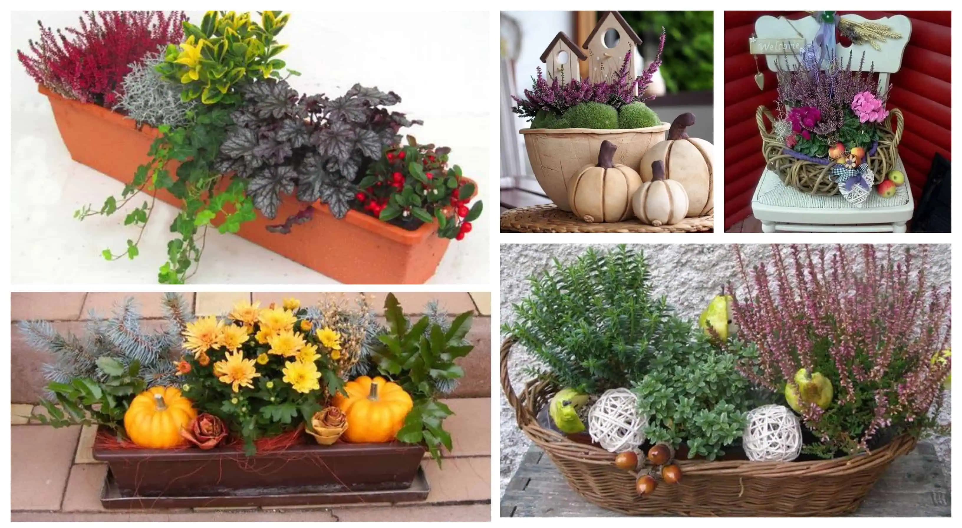 Tie vás ohúria: 11+ úžasných jesených dekorácií na balkón a do okien!