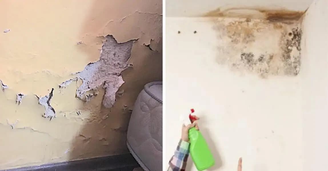 Najlepšia rada ako si poradiť s vlhnúcimi stenami a plesňou: S týmito pomocníkmi porazíte pleseň raz dva!