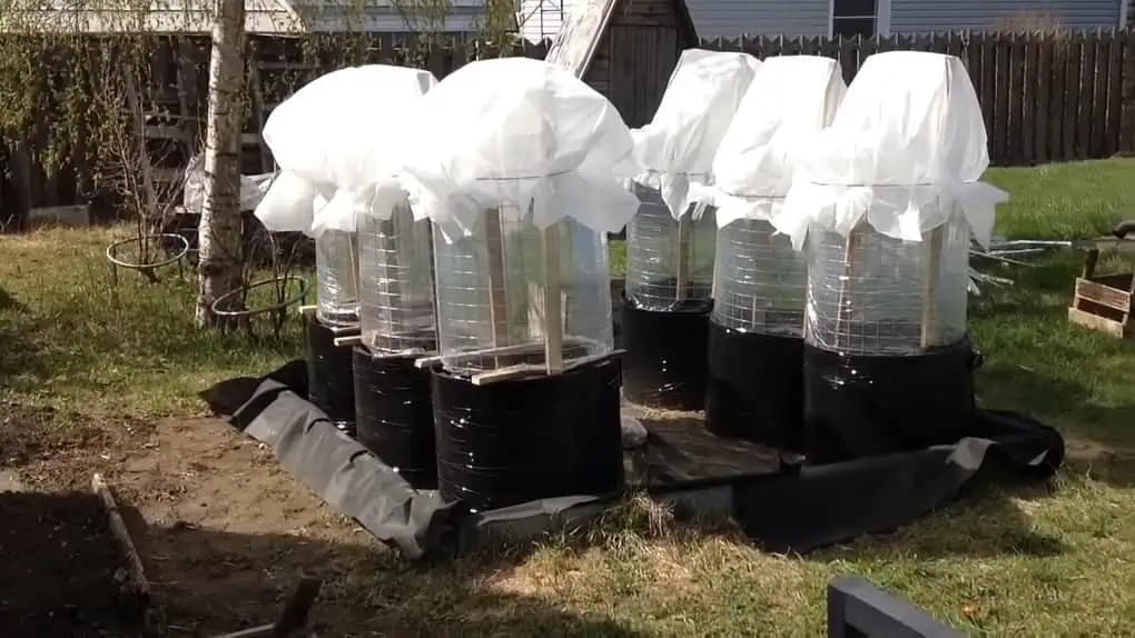 Vytvorte si na svojej záhradke praktické mini fóliovníky: Paradajky a uhorky sa v nich budú mať ako v bavlnke a potešia vás bohatou úrodou!