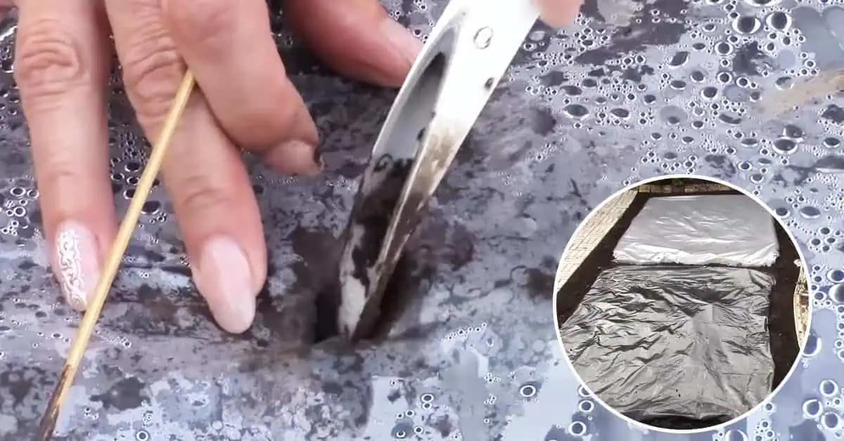 Skúsená pestovateľka uhoriek radí: Vďaka tejto metóde budú mať uhorky lepšiu chuť, dostatok vlhkosti a vyhnete sa aj zaburineným hriadkam!